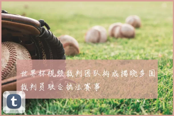 世界杯视频裁判团队构成揭晓多国裁判员联合执法赛事