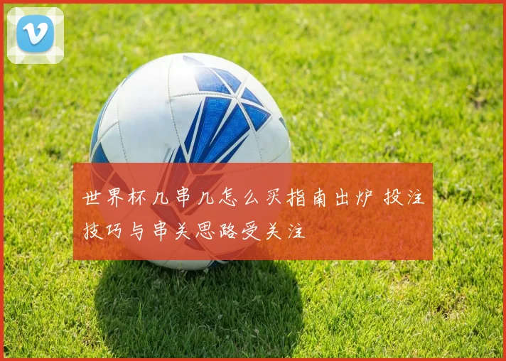 世界杯几串几怎么买指南出炉 投注技巧与串关思路受关注