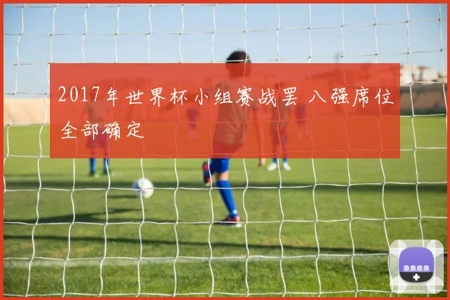 2017年世界杯小组赛战罢 八强席位全部确定